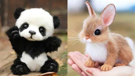 aww cute baby animals  compilation cutest moment   animals