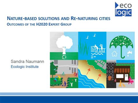 nature based solutions  case  sustainable urbanization ecologic institute science