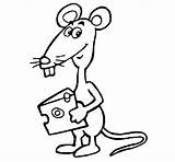 Rata Rat Ratas Colorir Topina Coloritou Animales Acolore Dessins sketch template