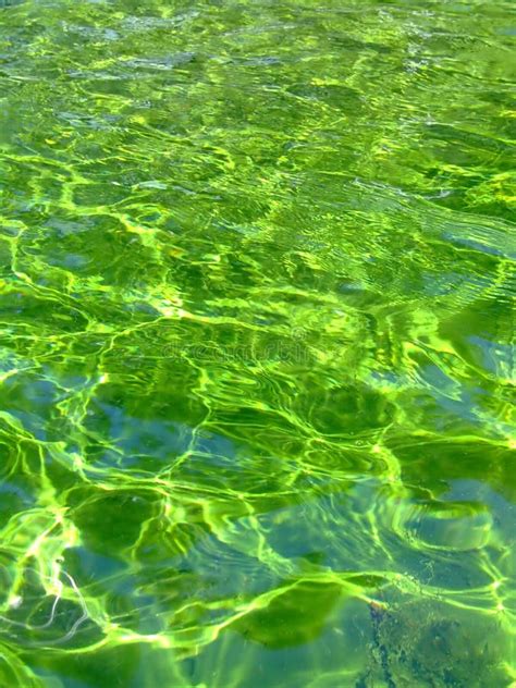 green liquid stock photo image  lake background wallpaper