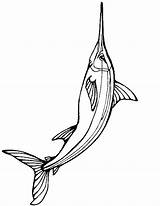 Swordfish Atlantic sketch template