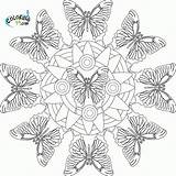 Mandala Coloring Butterfly Pages Printable Mandalas Animal Book Template Adult Print Adults Butterflies Library Clipart Abstract Getdrawings Zentangle Popular sketch template