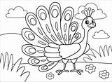 Colorat Desene Peacocks Lebede Creion Planse Colo sketch template
