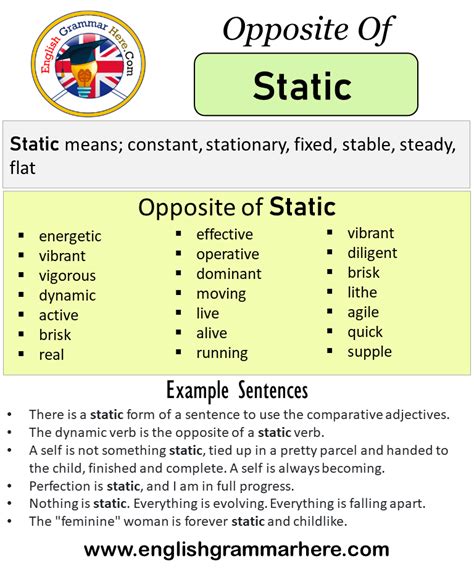 static antonyms  static meaning   sentences