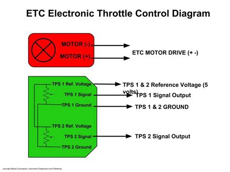 qs motor throttle wiring diagram
