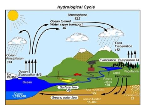 hydrology  flow  water