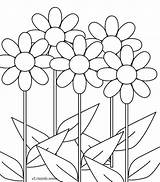 Daisy Bunga Sunflowers Mewarnai Daisies Bangkai Raflesia Storey Diwarnai Disimpan sketch template
