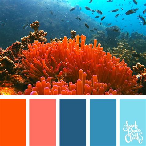 color palettes inspired  ocean life  pantone living coral