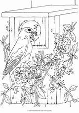 Coloring Birds Pages Dover Bird Book Publications Printable Adult Books Haven Animal Sheets Welcome Color Doverpublications Creative Beautiful Drawings Colouring sketch template