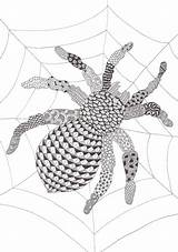 Zentangle Coloring Pages Patterns Blackwork Embroidery Made Pattern Halloween Insects Boer Den Mariska Colouring Good Zentangles Starting Place Doodle Choose sketch template