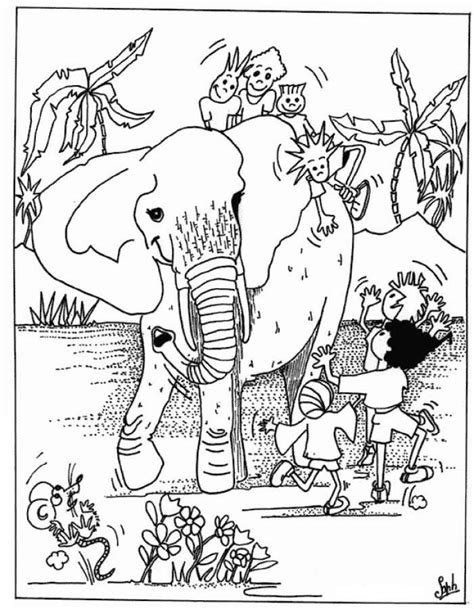 wild animal coloring pages  kids animals pics onlinexanaxhzq
