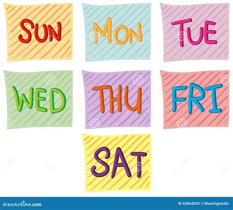 days   week stock vector image