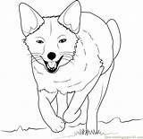 Fox Coloring Pages Cute Running Baby Printable Color Print Popular Library Sheets Coloringpages101 Getcolorings Coloringhome sketch template