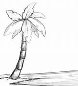 Palm Tree Drawing Draw Simple Step Sketch Drawings Easy Sketches Trees Coloring Beach Pencil Pom Steps Pages Dragoart Tattoo Sabal sketch template