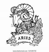 Aries Zodiac Sign Roses Tattoo Sketch Ram Frame Coloring Pages Vector Stock Shutterstock Signs Decorative Clipart Template Concept Taurus Templates sketch template