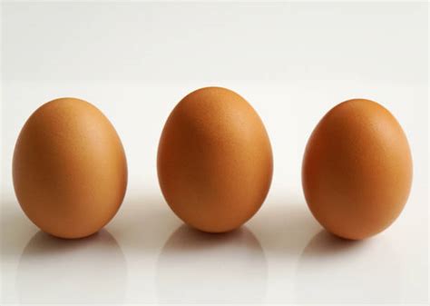 eggs stock  pictures royalty  images istock