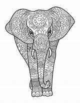 Coloring Animals Adult Pages Color Book Adults Books Amazing Mandala Animal Colouring Sold Life Kids sketch template