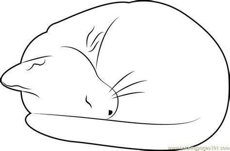 cat sleeping coloring page  kids  cat printable coloring pages