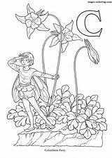 Coloring Fairy Alphabet Flower Columbine Elfes Magic Letter Pages sketch template