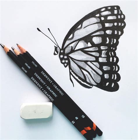 18 Butterfly Drawings Art Ideas Design Trends
