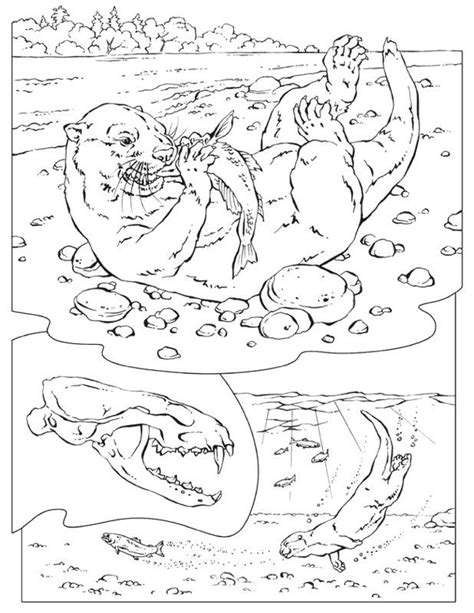 clear sea coloring pages coloring home