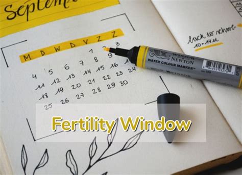 fertility window how to calculate your fertile days