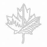Leaf Maple Canadian Abstract Colouring Choose Board Drawing Coloring sketch template