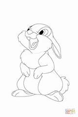Thumper Coloring Pages Laughing Drawing Printable Horizon Into sketch template