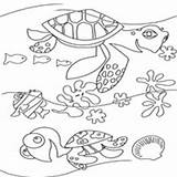 Nemo Pages Squirt Coloring Crush Surfnetkids Finding Getdrawings sketch template
