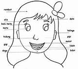 Wajah Bagian Nama Mewarnai Badan Anggota Tubuh Manusia Kartun Sketsa Kerja Lembar Dicoba Proyek Hidung Kunjungi Kartu Pilih Papan Wegner sketch template