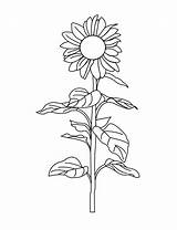 Sunflower Coloring Pages Kids Flowers Index Nature Print sketch template
