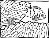 Fish Coloring Pages Kids Printable sketch template