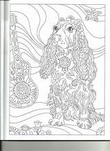 Sarnat Marjorie Adulte Coloriages Livres Colorier Coloration Adultes Therapie Thérapie sketch template