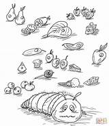 Coloring Hungry Caterpillar Very Pages Clipart Library Printable sketch template