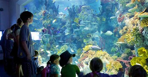 bristol aquarium attraction close  warren farm holiday centre