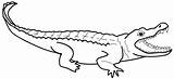 Coloring Alligator Pages Crocodile Printable Outline Kids Color Nile Caiman Print Clipart Colouring Getdrawings Clipartmag Getcolorings Animal 09kb 325px sketch template