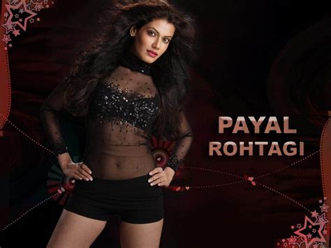 payal rohtagi sexy wallpapers saree sexy pictures