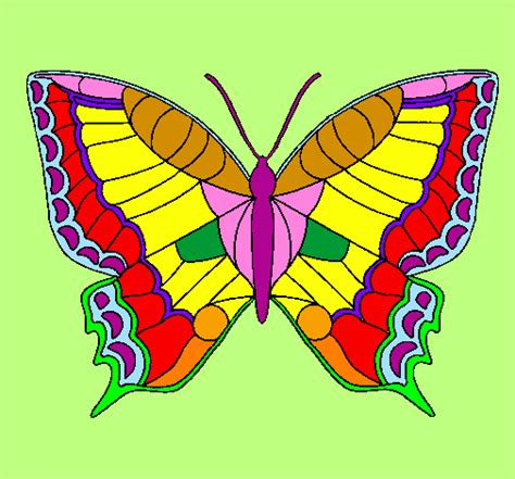 colored page butterfly painted  abby