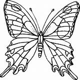 Schmetterling Mandala Ausmalbilder Pinclipart sketch template
