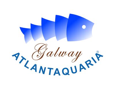 aquarium logo  irish ocean literacy network