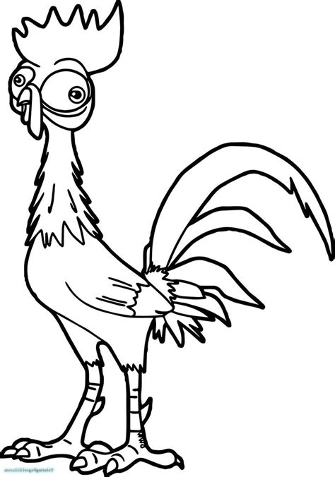 moana coloring pages heihei  worksheets sketch coloring page