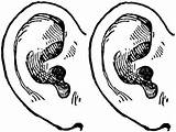 Ear Coloring Pages Two sketch template