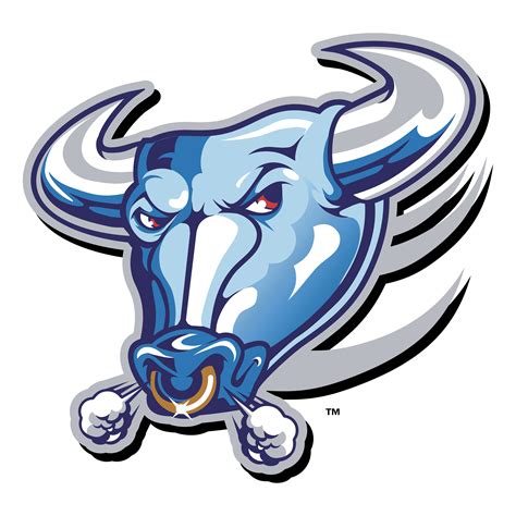 bulls logo  logos  nba teams list  top ten bulls logo