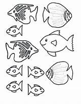 Saltwater Fish Pages Coloring Getcolorings Color Printable sketch template