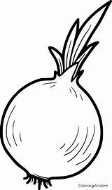 Onion Colouring Kids Coloringall sketch template