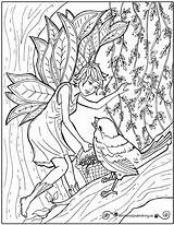 Pages Colouring Coloring Whimsicalpublishing Ca Fairy Adult sketch template