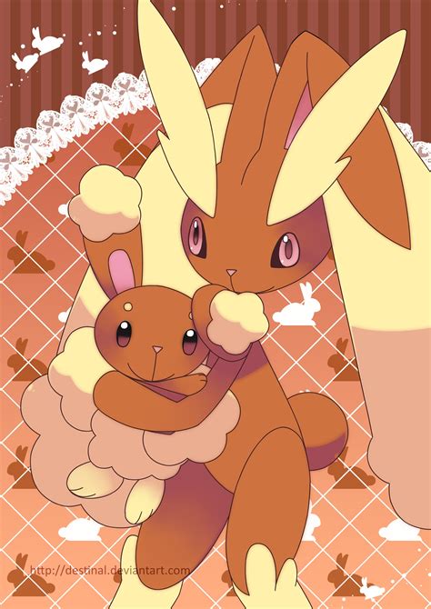 buneary lopunny pokemon special image  atmyoder lopunny