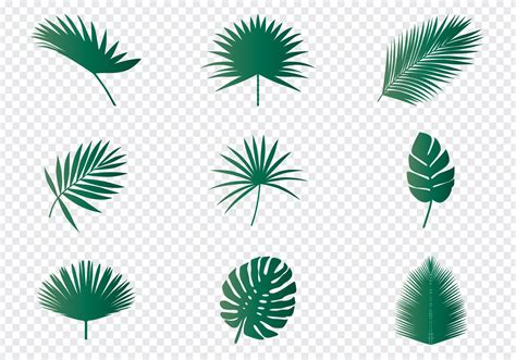 palm leaves  vector art  vecteezy