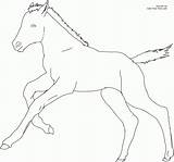 Coloring Pages Foals Horses Foal Popular Coloringhome sketch template
