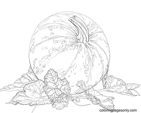 pumpkin  leaves printable coloring page  printable coloring pages